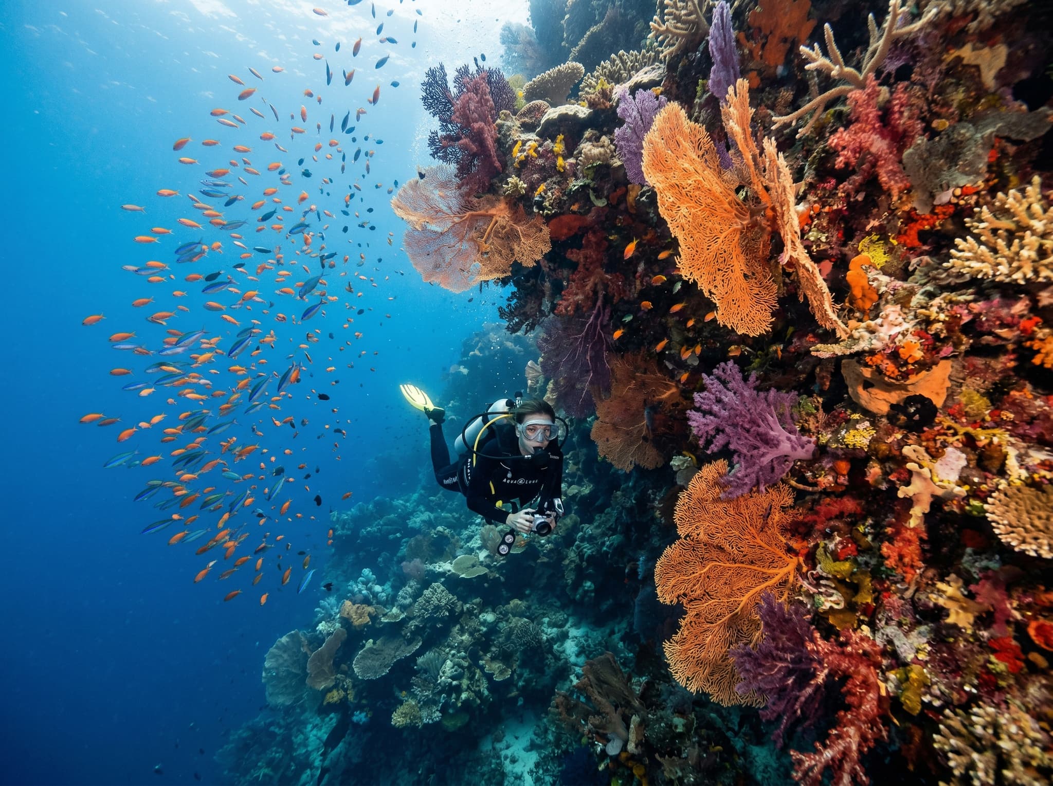 Scuba diver descending along a coral wall in Raja Ampat, Indonesia — closing image supporting the article's honest assessment section, reinforcing the core value proposition: that Agusta Eco Resort delivers most strongly for divers, with world-class dive sites within 15 minutes of the pier