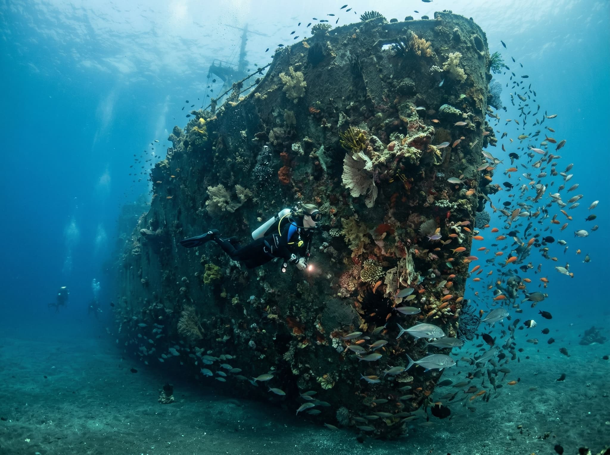 An underwater wide-angle shot comparing wreck diving scale — a diver near a large coral-covered structure in Indonesian waters — supporting the article's honest comparison between the Bounty wreck and larger wrecks like the Liberty in Tulamben, Bali