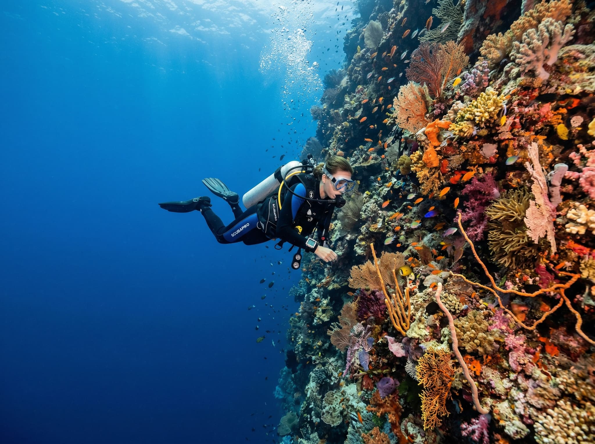 A scuba diver descending or hovering along a vertical coral wall in Raja Ampat, with the reef close on one side and open blue water on the other — visually conveying the dive profile described in the article and the buoyancy discipline the wall requires.