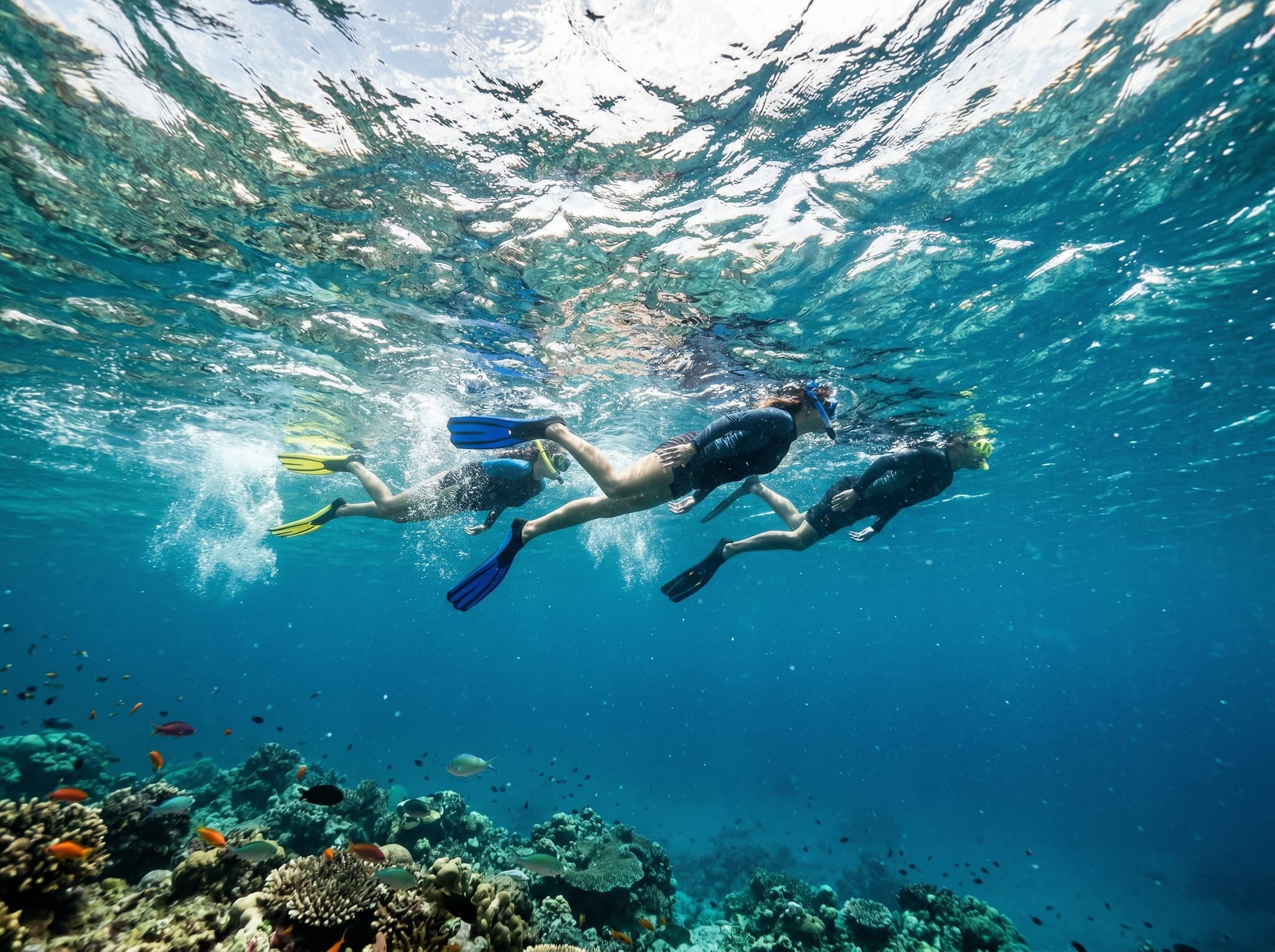 Snorkellers drifting in current above a reef in Komodo National Park, illustrating the drift-snorkelling conditions and intermediate skill level required at Manta Point
