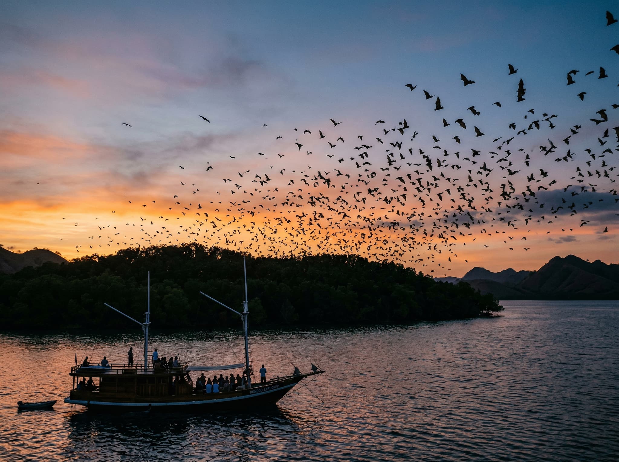 The flying fox bat colony at Kalong Island near Labuan Bajo at sunset — thousands of large fruit bats silhouetted against an orange sky as they depart the island, representing the sunset stop that typically follows Menjerite on the same day-trip itinerary