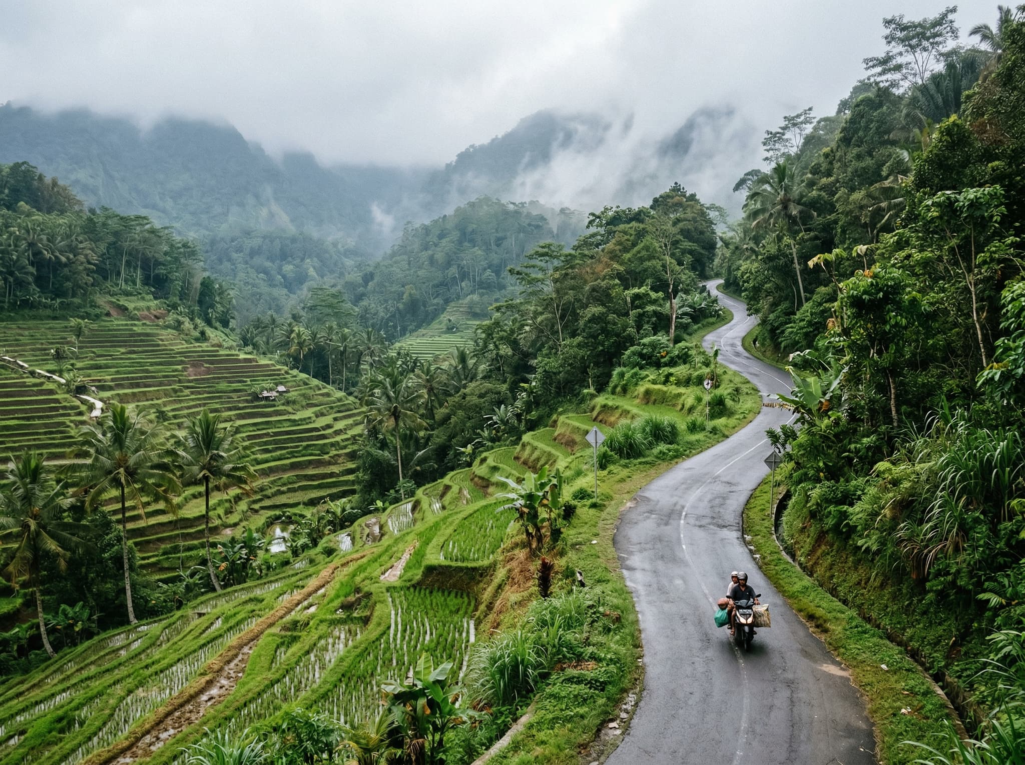 The winding highland road from Ubud climbing toward Kintamani through terraced rice fields and forest, conveying the journey and the gradual shift in landscape described in the article's opening