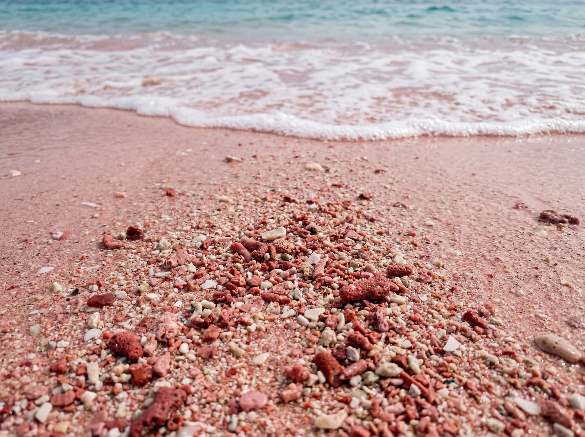 Close-up of pink sand at Pantai Merah, Komodo National Park — a handful of blush-colored sand showing the coral fragments that give the beach its distinctive color, illustrating the article's description of the subtle, real-but-muted pink tone