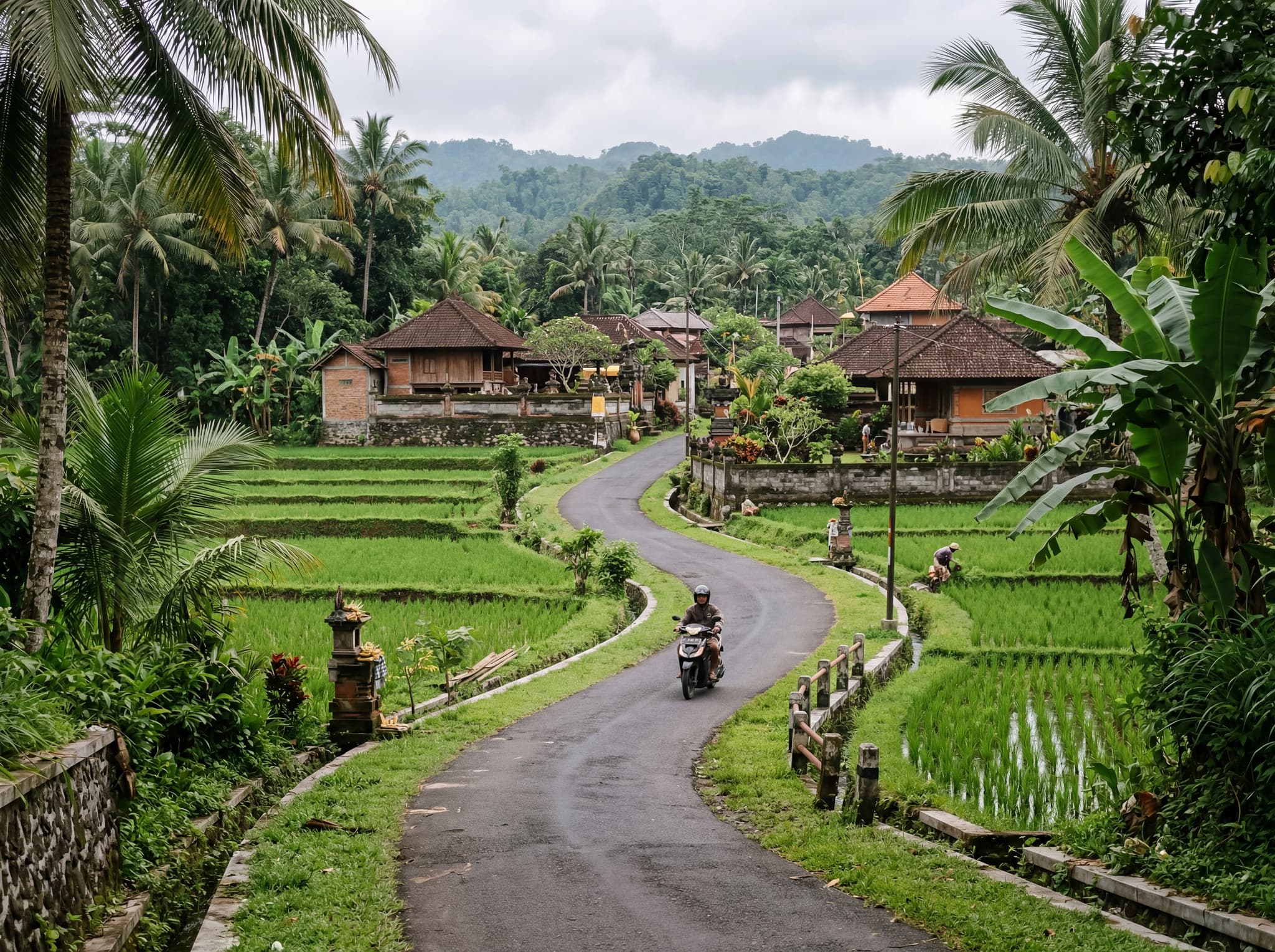 The coastal road between Ubud and Keramas passing through Balinese villages and rice paddies — a scooter or car visible on a narrow paved road flanked by green terraced fields — illustrating the practical and scenic route connecting Ubud-based stays to the surf beach